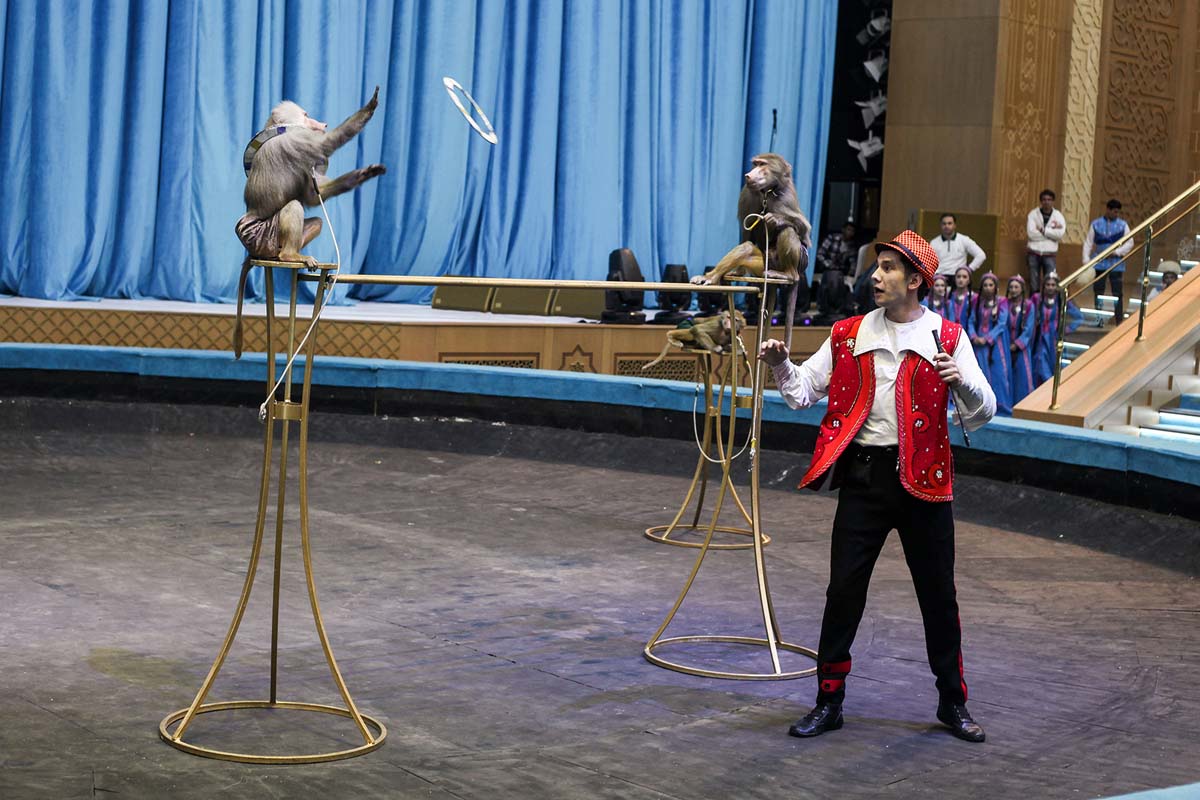 Equestrian group "Galkynysh" performed in the Balkan velayat